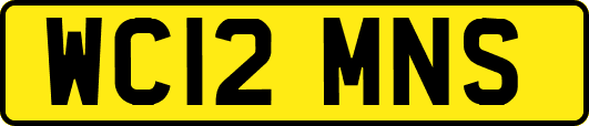 WC12MNS