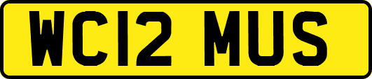 WC12MUS