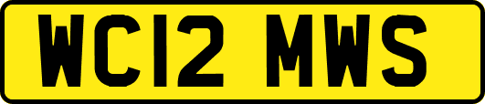 WC12MWS