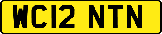 WC12NTN