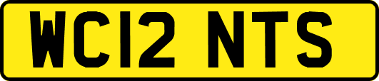 WC12NTS