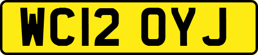 WC12OYJ