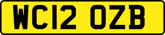 WC12OZB