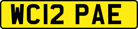 WC12PAE