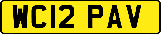 WC12PAV