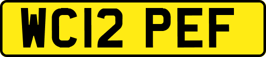 WC12PEF