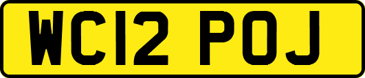 WC12POJ