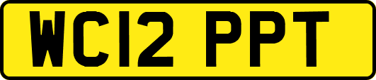 WC12PPT