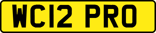 WC12PRO