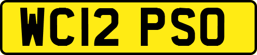 WC12PSO