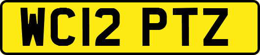 WC12PTZ