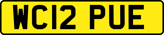 WC12PUE