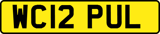 WC12PUL