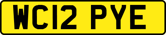 WC12PYE
