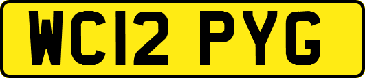 WC12PYG