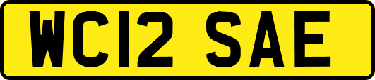 WC12SAE