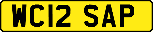 WC12SAP