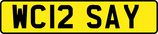 WC12SAY