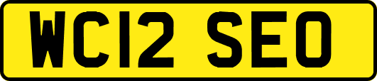 WC12SEO