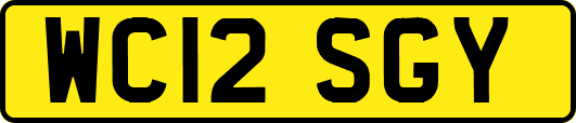 WC12SGY
