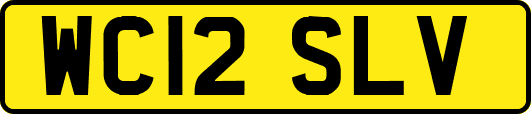 WC12SLV