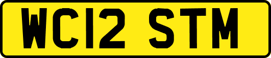WC12STM