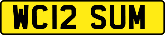 WC12SUM
