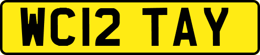 WC12TAY
