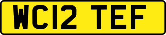 WC12TEF
