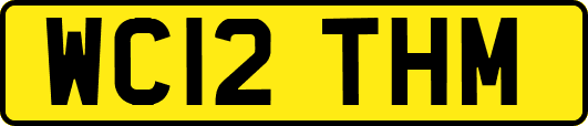 WC12THM