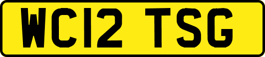 WC12TSG