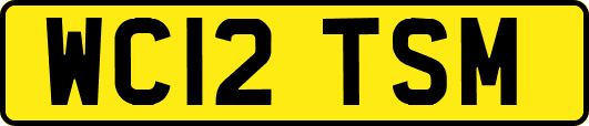 WC12TSM