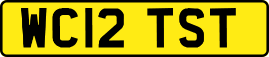 WC12TST