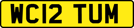 WC12TUM