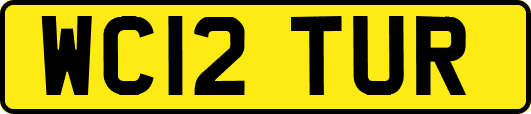 WC12TUR