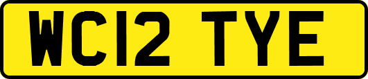 WC12TYE