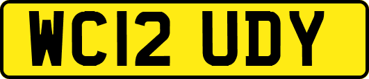 WC12UDY