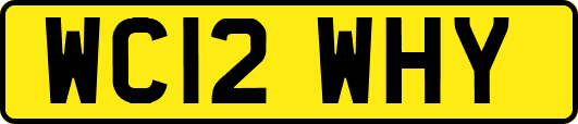 WC12WHY