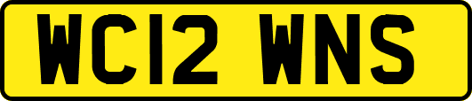 WC12WNS