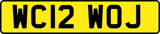 WC12WOJ