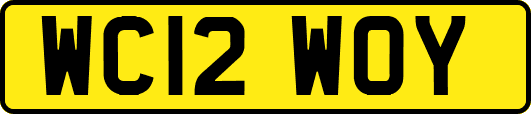 WC12WOY