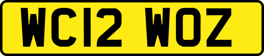 WC12WOZ