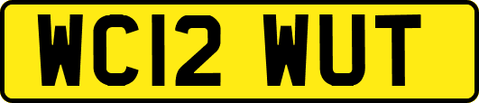 WC12WUT