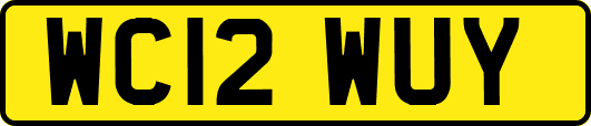 WC12WUY