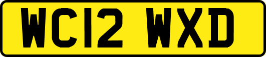 WC12WXD