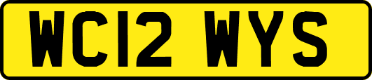 WC12WYS