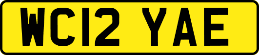 WC12YAE