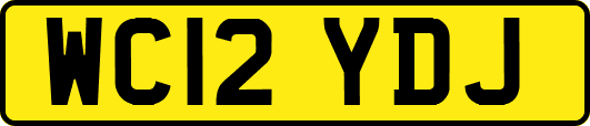WC12YDJ