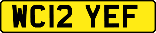 WC12YEF