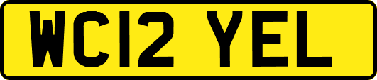 WC12YEL